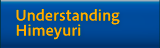 Understanding Himeyuri